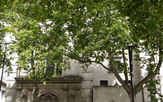 St Anselm and St Cecilia