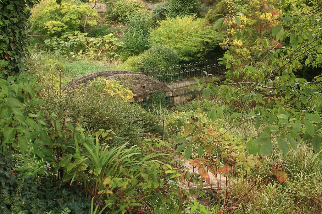 Beechwood Park