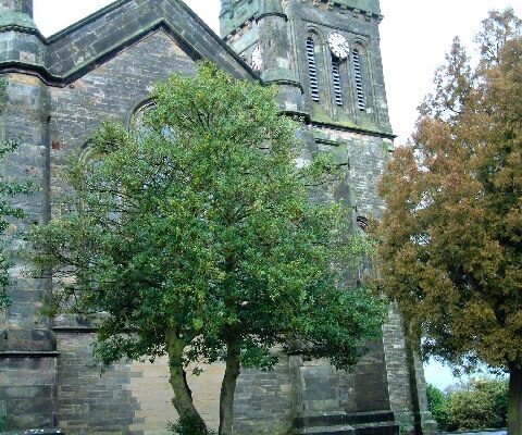Errol Church (Cathedral of the Carse)